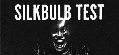 silkbulb test capsule