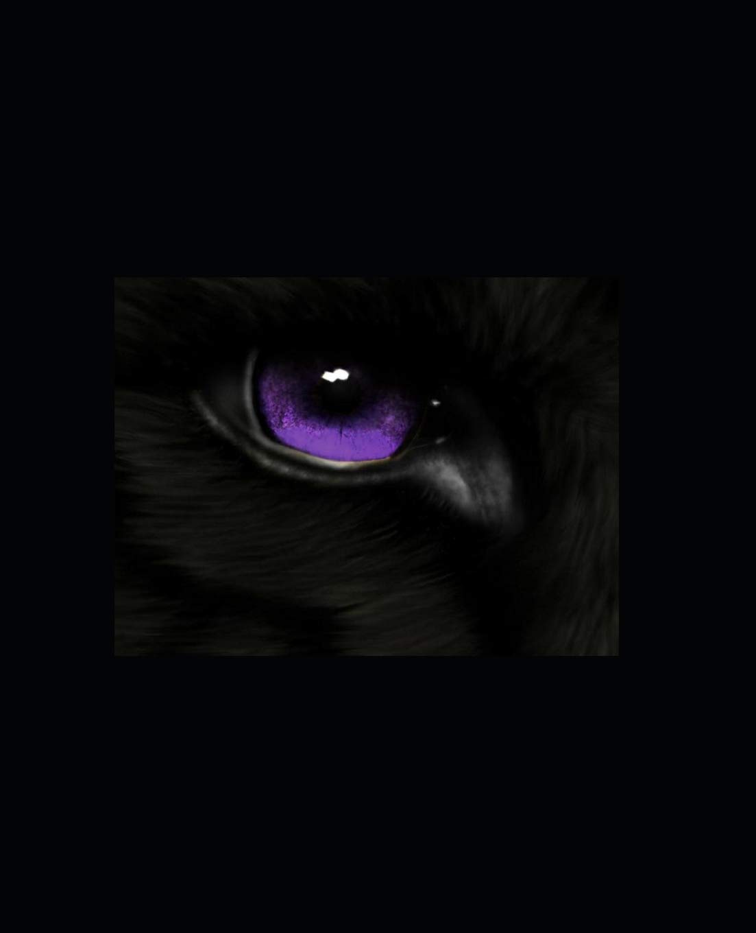 WOLF: Limbo: Book 4 of the WOLF Series poster