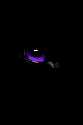 WOLF: Limbo: Book 4 of the WOLF Series poster