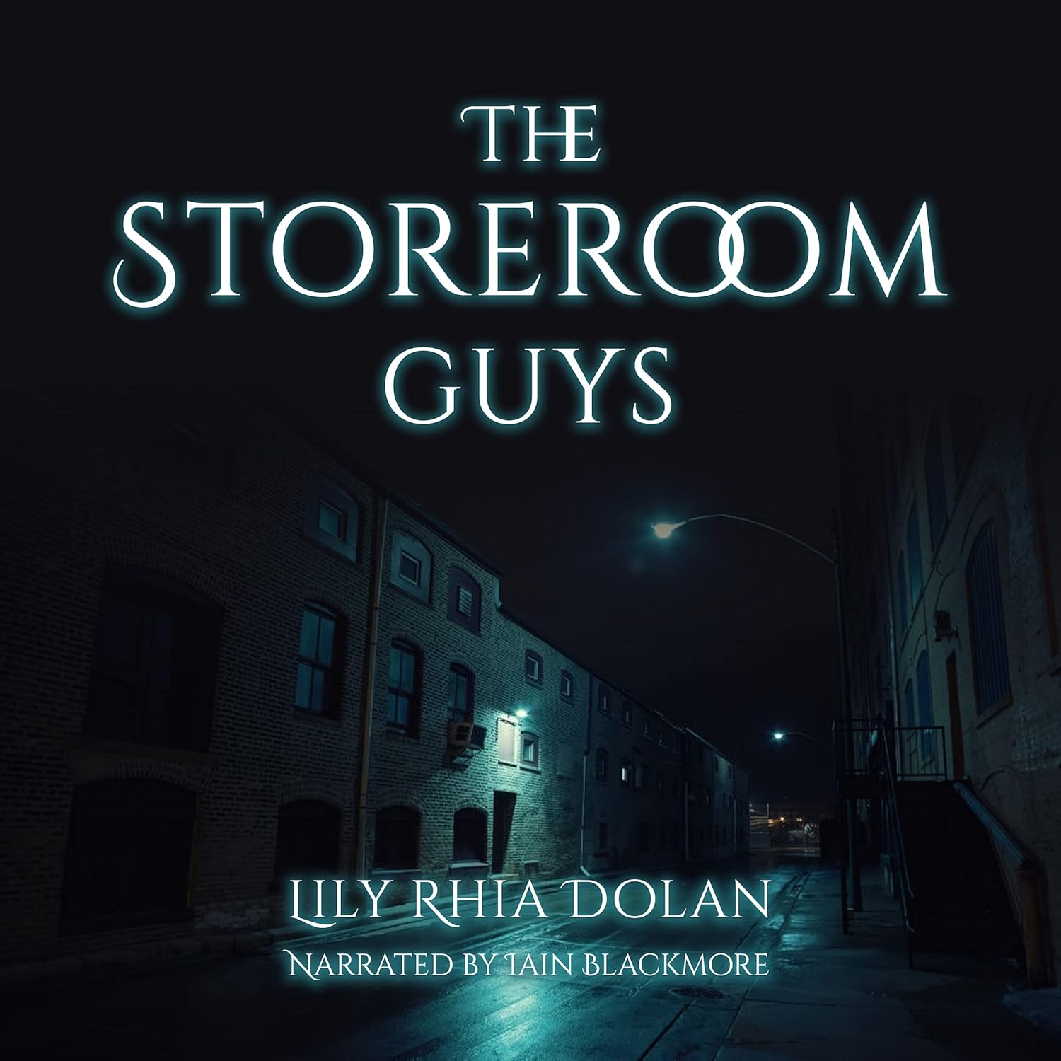 The Storeroom Guys: A dark comedy about the work colleagues from hell poster