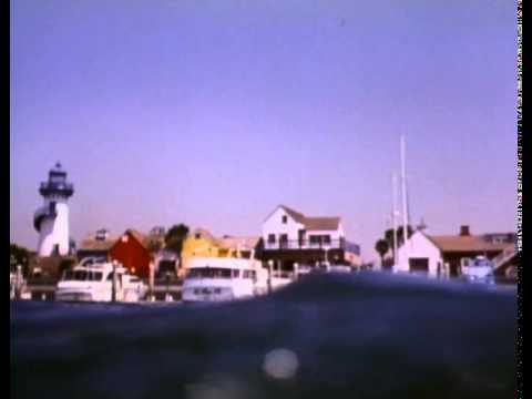 Jaws: The Revenge - Trailer