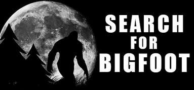 Search 4 Bigfoot capsule