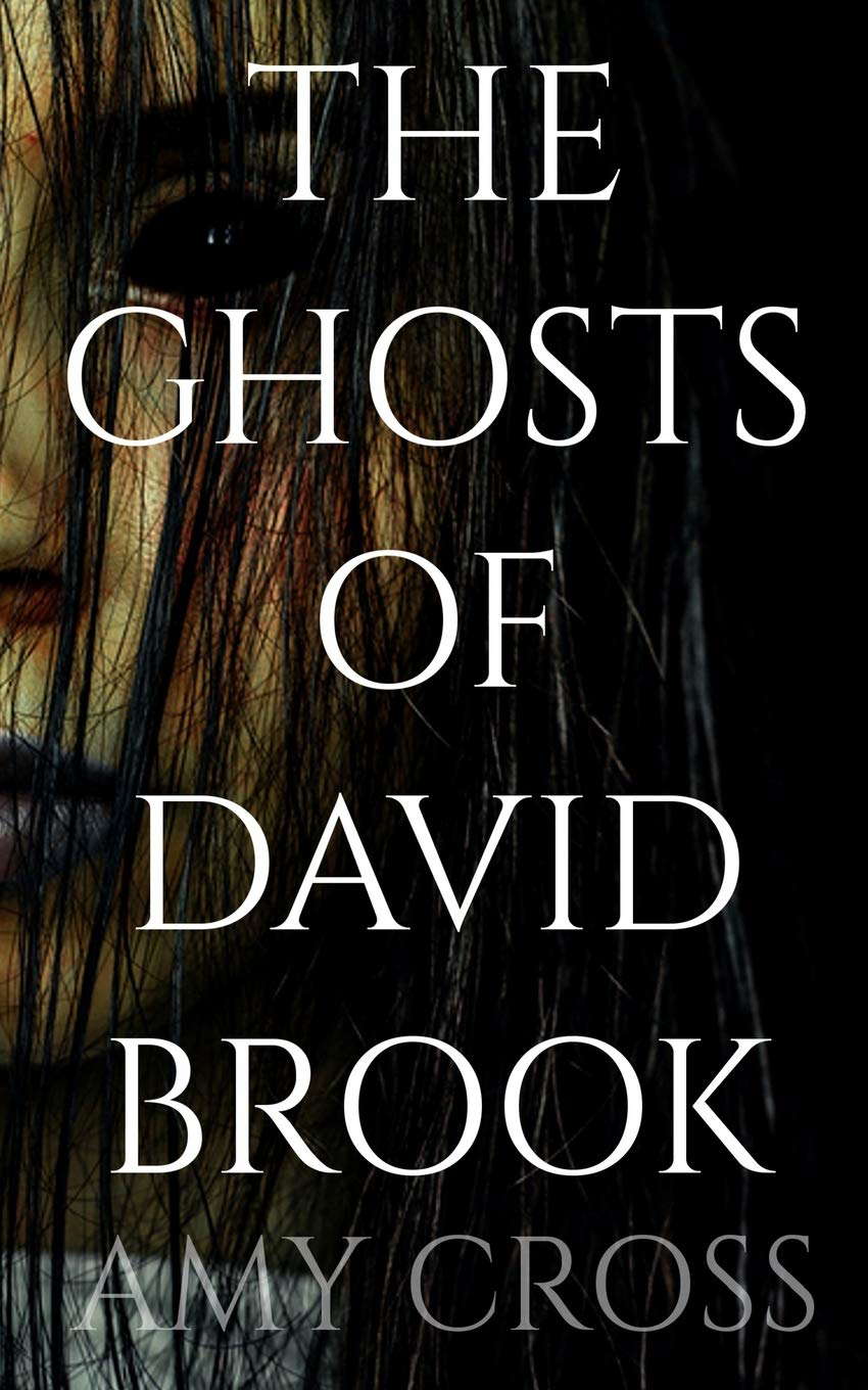 The Ghosts of David Brook poster