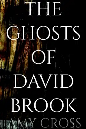 The Ghosts of David Brook poster