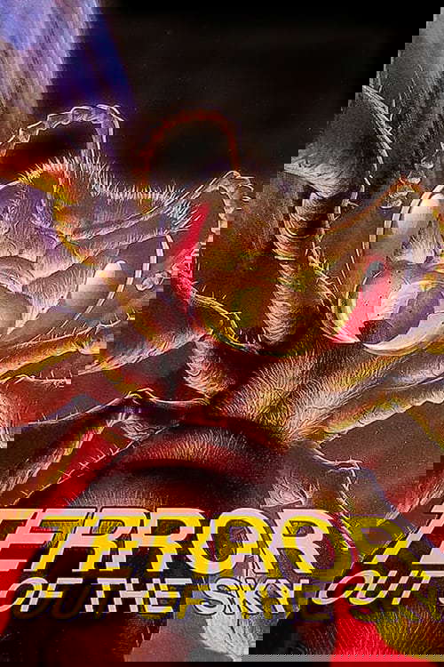 Terror Out of the Sky poster