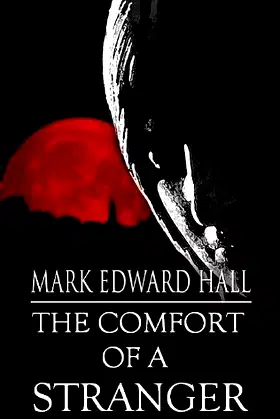 The Comfort of a Stranger (A short story) poster