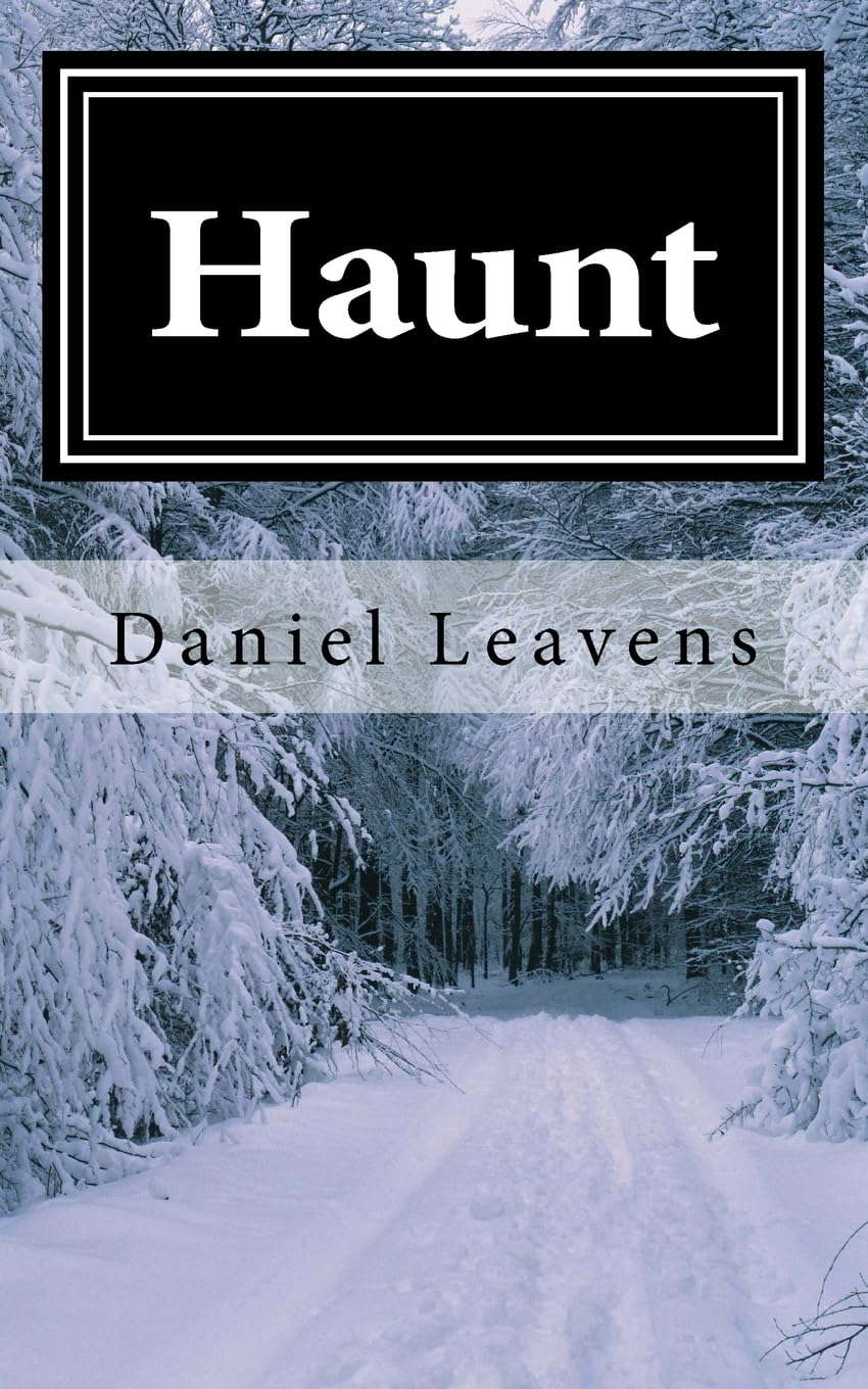 Haunt poster