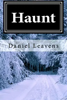 Haunt poster