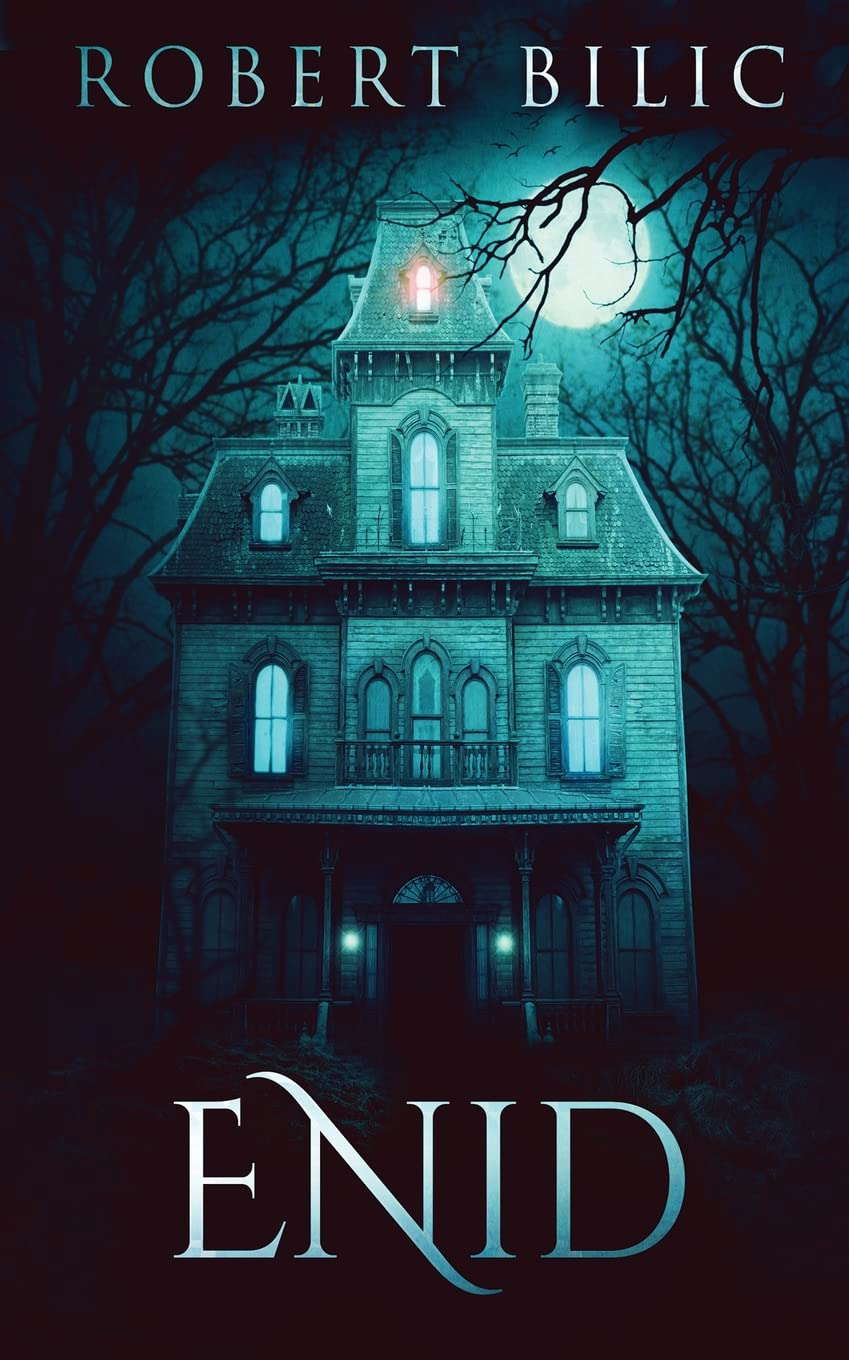 Enid: A Ghost Story poster