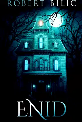 Enid: A Ghost Story poster