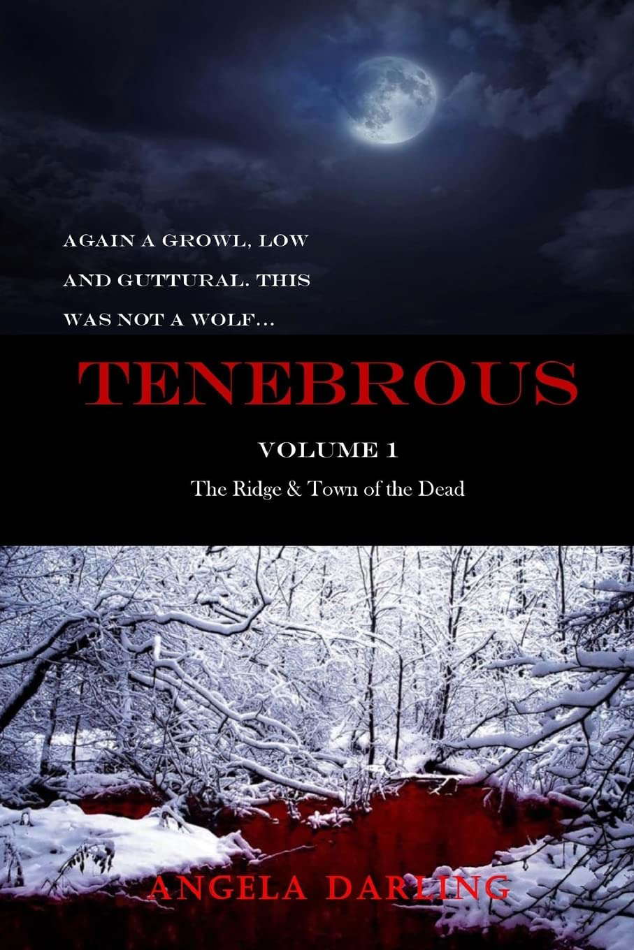 Tenebrous: The Ridge and Town of the Dead poster