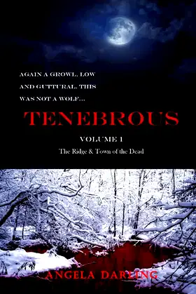 Tenebrous: The Ridge and Town of the Dead poster