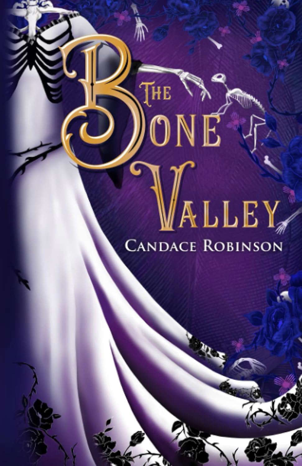 The Bone Valley (Marked by Magic) poster