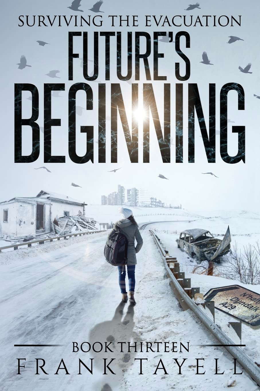 Surviving The Evacuation, Book 13: Future's Beginning poster
