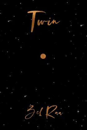Twin (Twin Flame Souls Series) poster