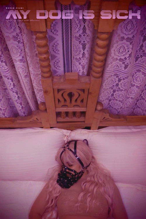 My Dog Is Sick poster