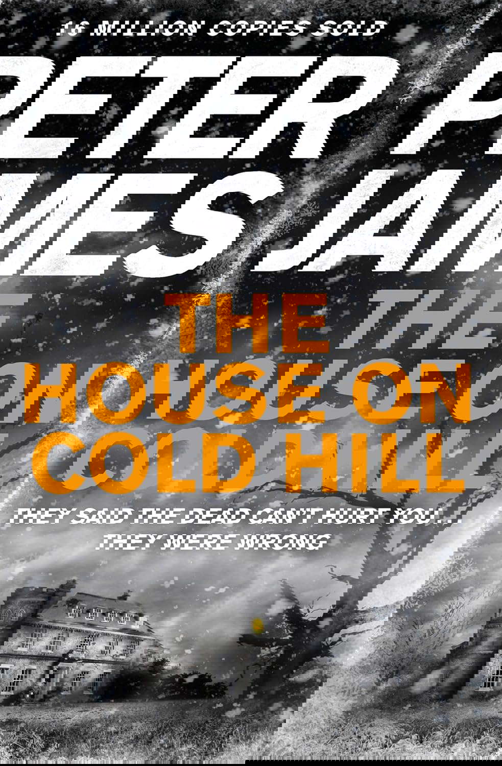 The House on Cold Hill poster
