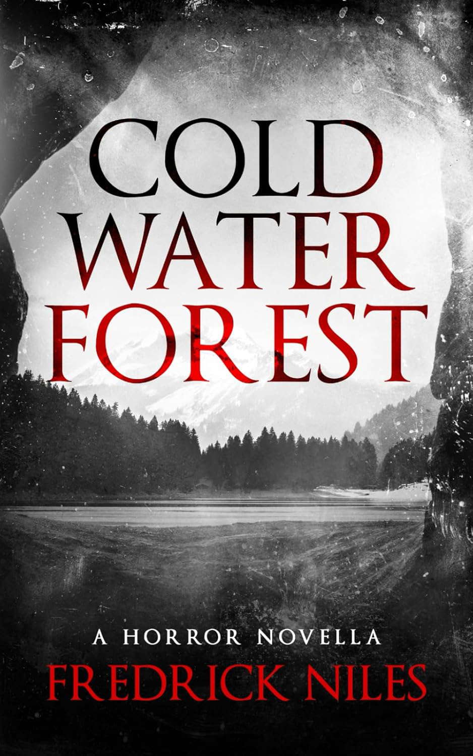 Cold Water Forest poster