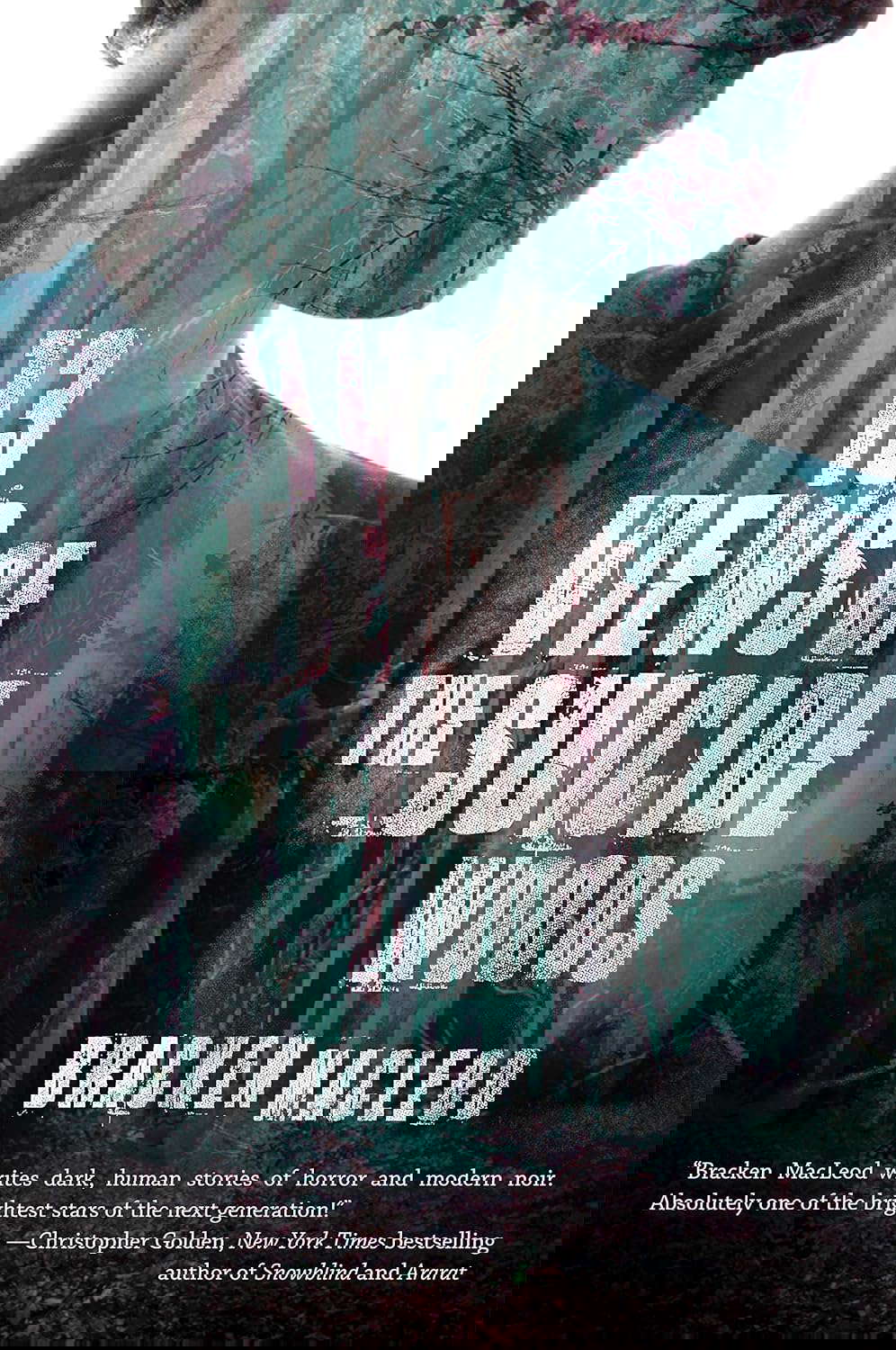 Thirteen Views of the Suicide Woods poster