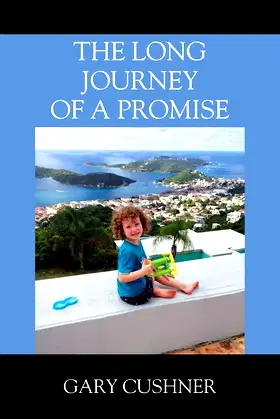 The Long Journey of a Promise poster