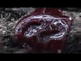 Severed - Forest of the Dead 2005 Trailer poster