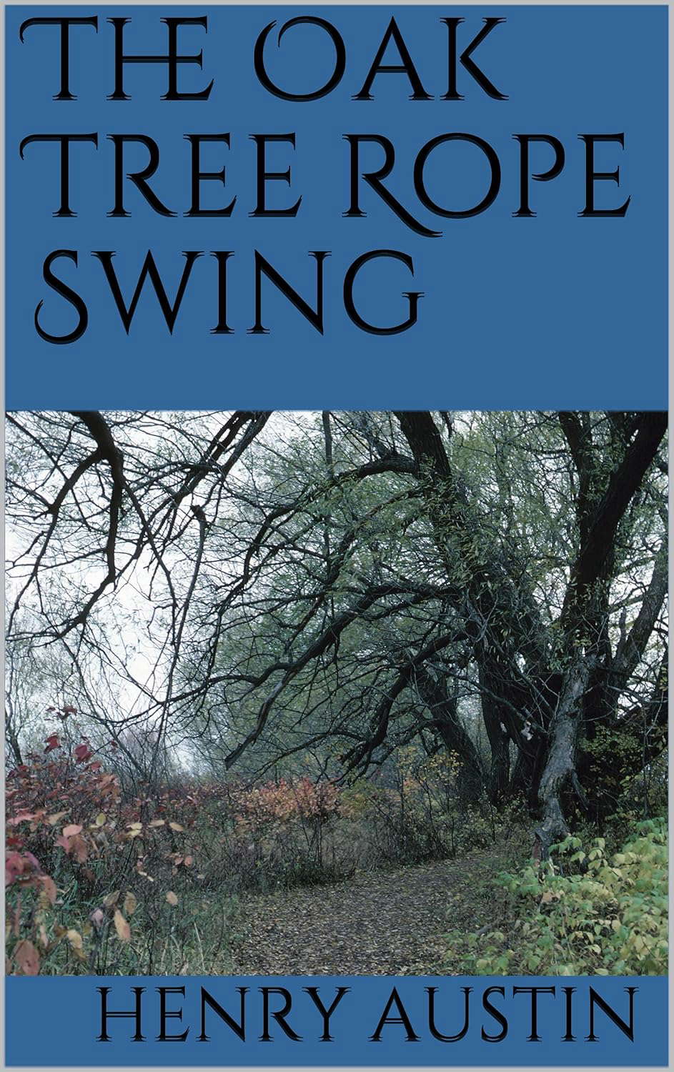 The Oak Tree Rope Swing poster
