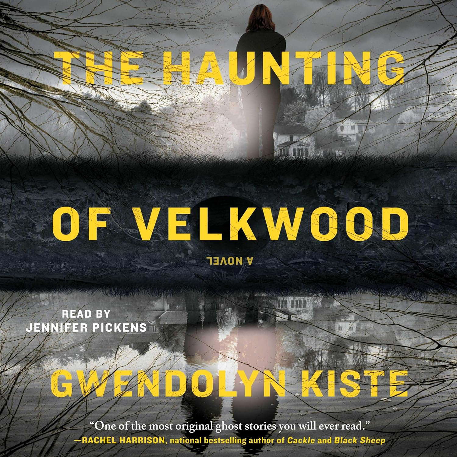 The Haunting of Velkwood poster