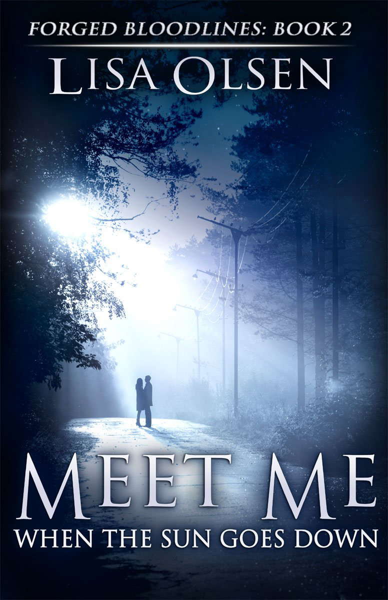 Meet Me When the Sun Goes Down (Forged Bloodlines Book 2) poster