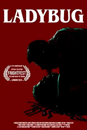 Ladybug poster