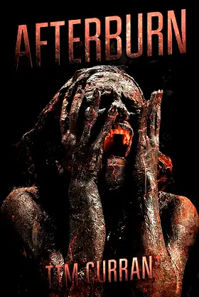 Afterburn poster