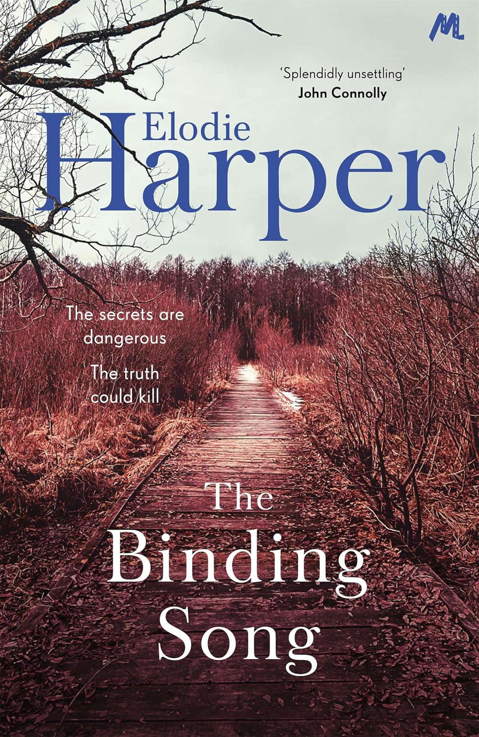 The Binding Song: A chilling thriller with a killer ending poster