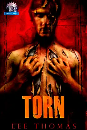 Torn poster
