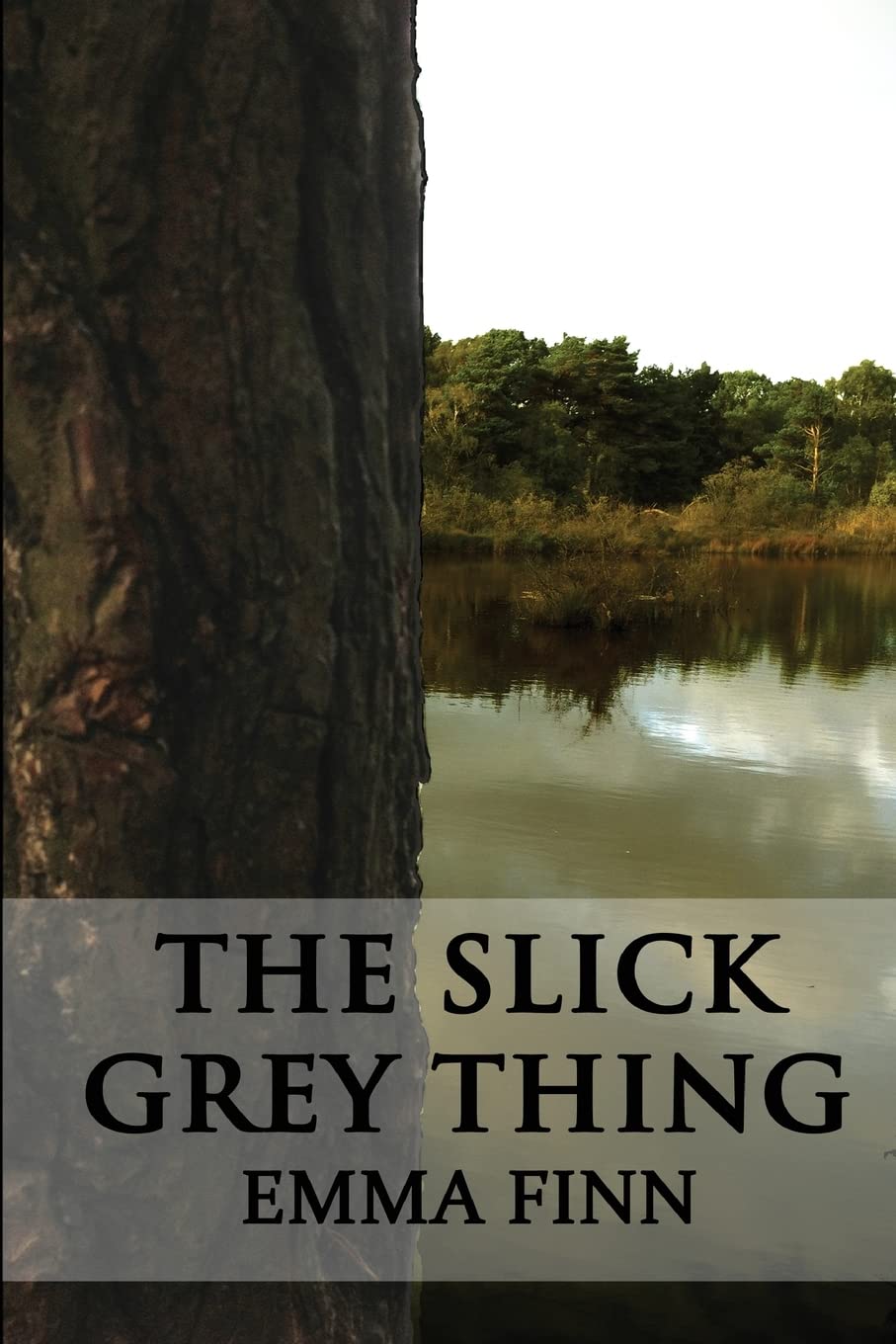 The Slick Grey Thing poster