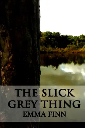 The Slick Grey Thing poster