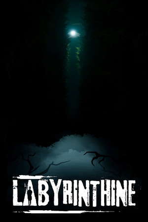 Labyrinthine poster