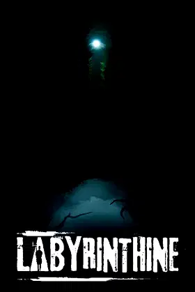 Labyrinthine poster