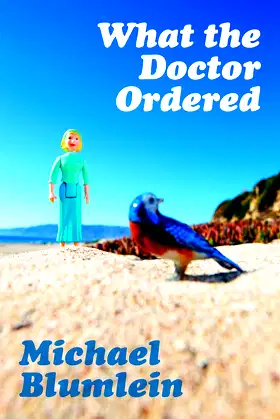 What the Doctor Ordered poster
