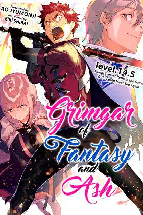 Grimgar of Fantasy and Ash (Light Novel) Vol. 14.5 poster
