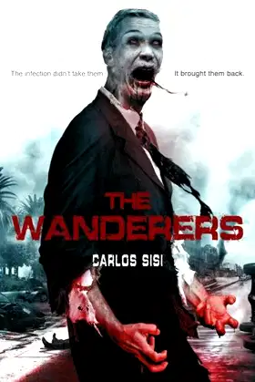 The Wanderers poster