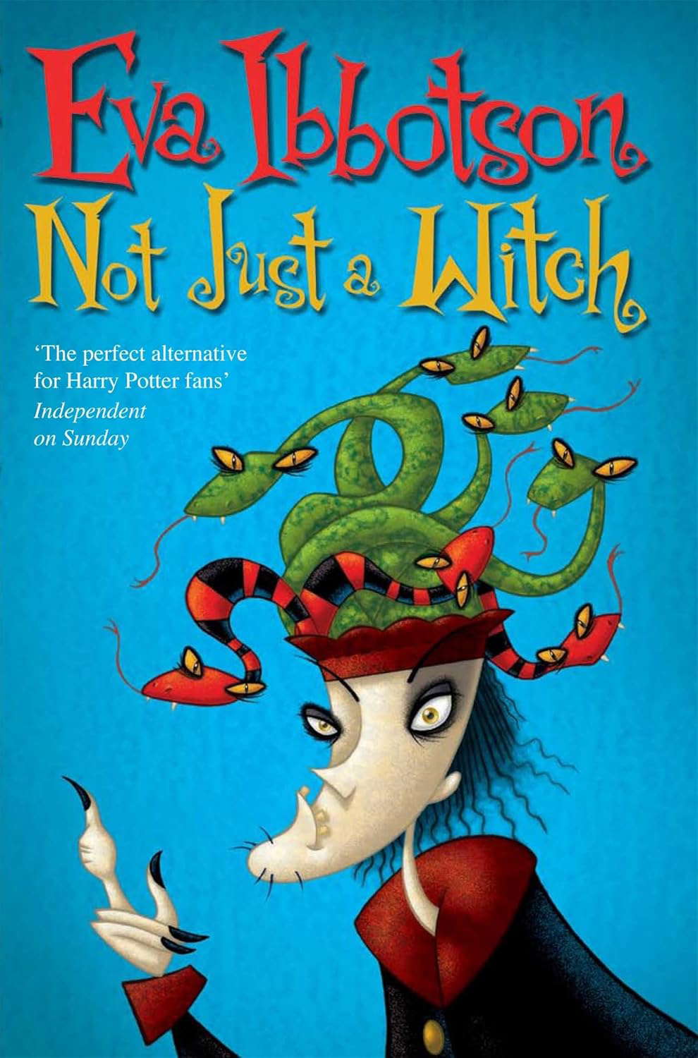 Not Just a Witch poster