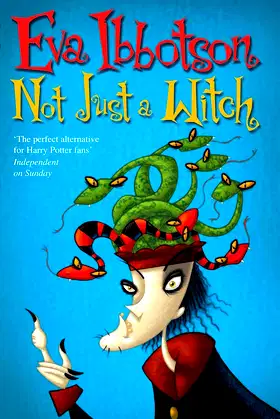 Not Just a Witch poster