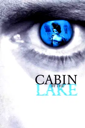 Cabin by the Lake poster