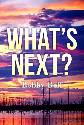 What's Next ? poster