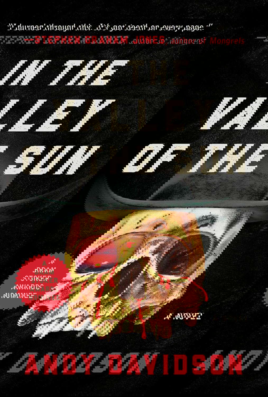 In the Valley of the Sun: A Novel poster