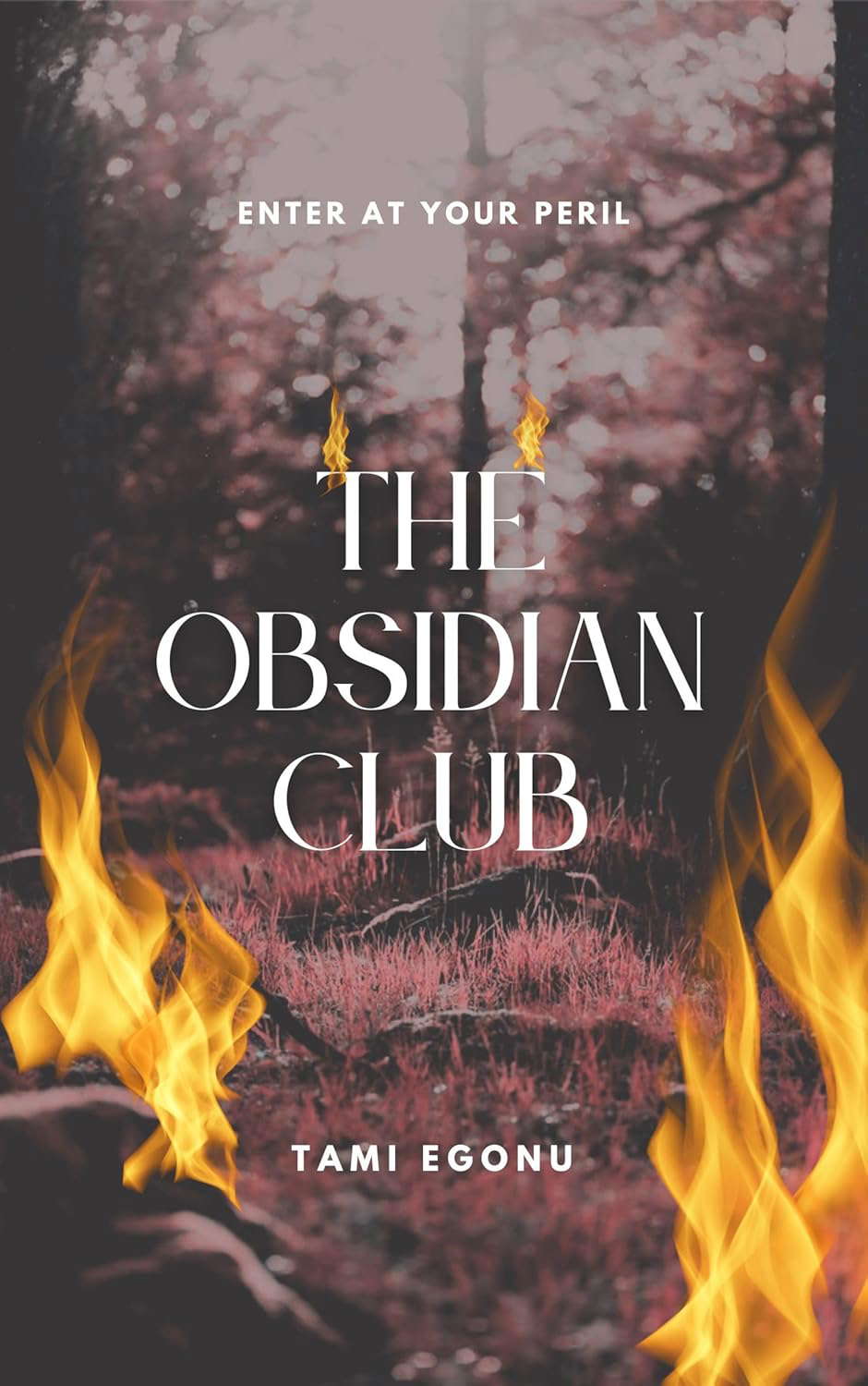 The Obsidian Club poster