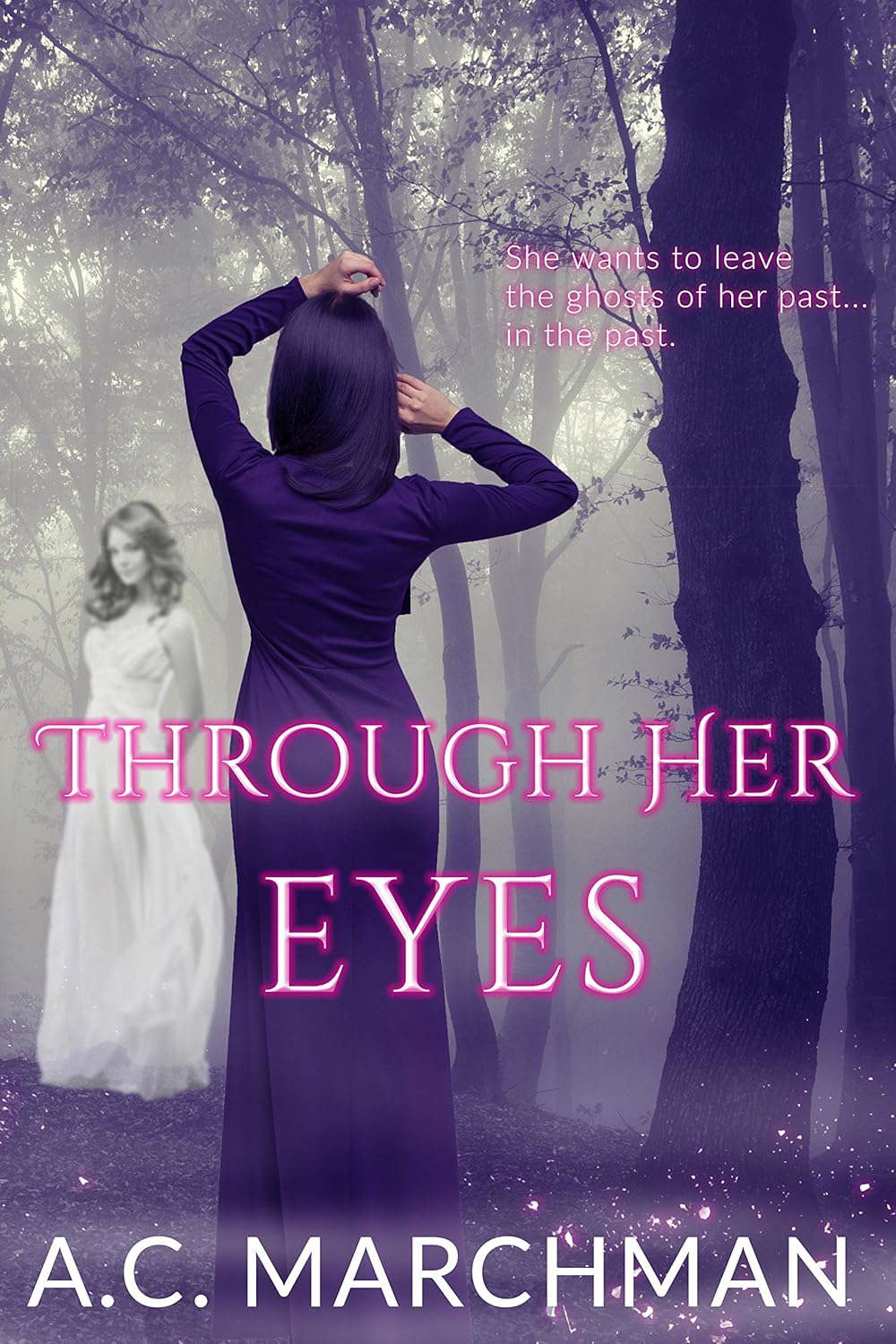 Through Her Eyes poster