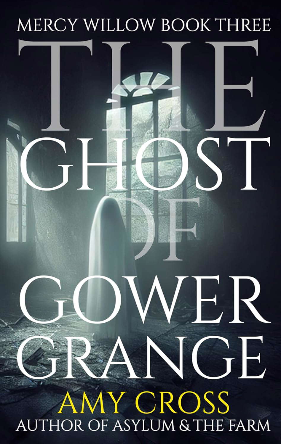 The Ghost of Gower Grange (Mercy Willow Book 3) poster