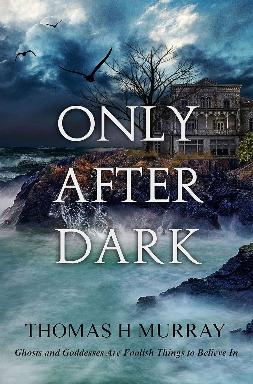 Only After Dark: One Man's Descent Into Obsession and Madness (Illustrated) poster