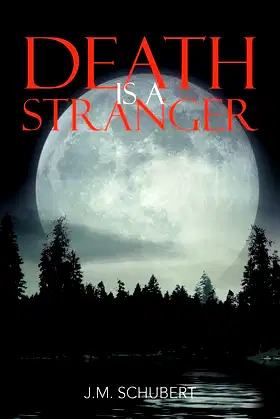 Death is a Stranger poster