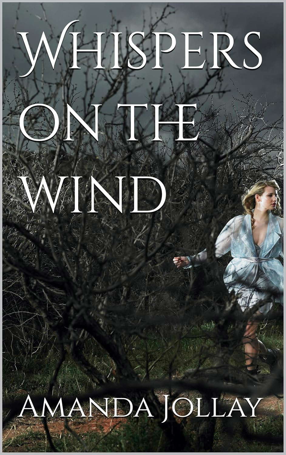 Whispers on the wind poster